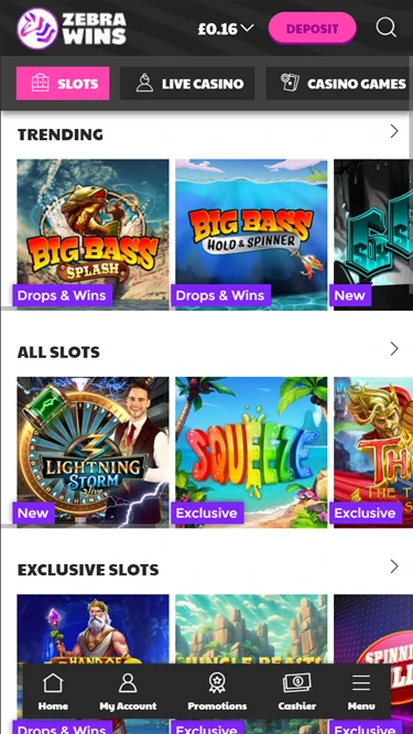 A screenshot of Zebra Wins casino's slots page