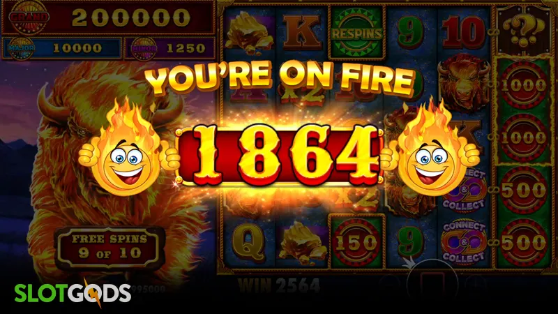 big win screenshot