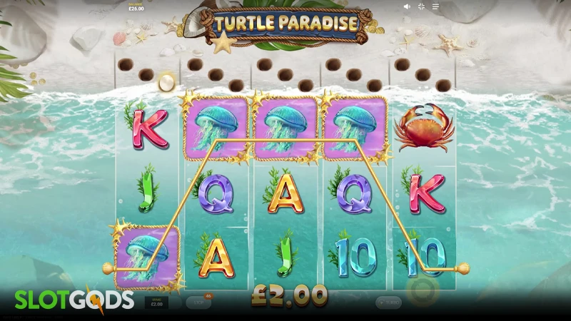 A screenshot of Turtle Paradise slot  gameplay