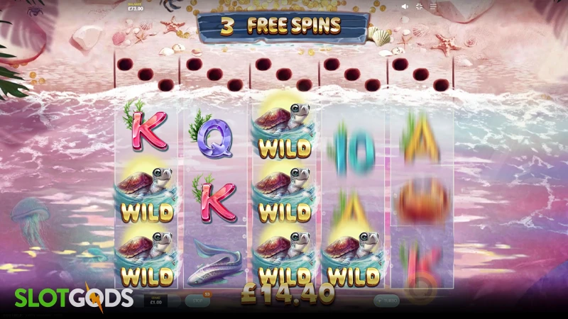 A screenshot of Turtle Paradise slot feature gameplay