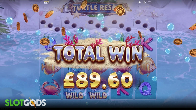 A screenshot of Turtle Paradise slot win screen after a bonus round