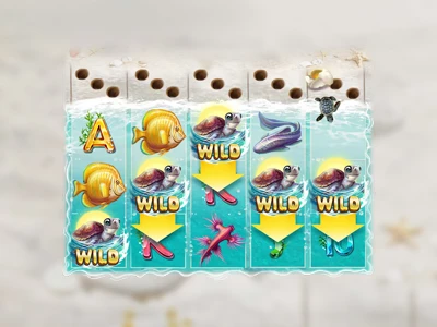 Turtle Paradise - Turtle Wild Respins