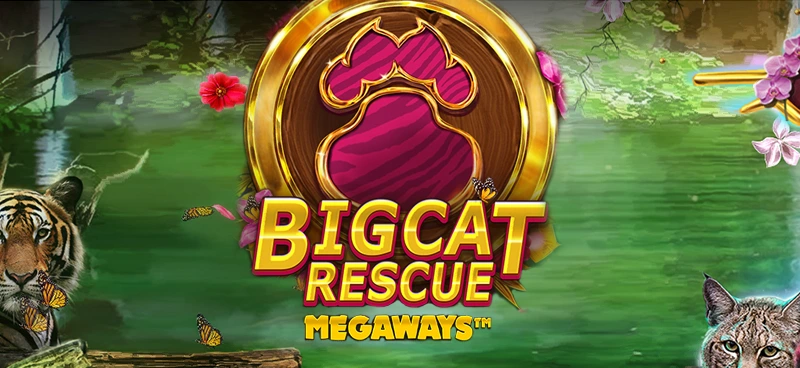 Big Cat Rescue Megaways donates a portion of proceeds to charity