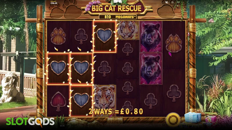 Big Cat Rescue Megaways Slot - Screenshot 2