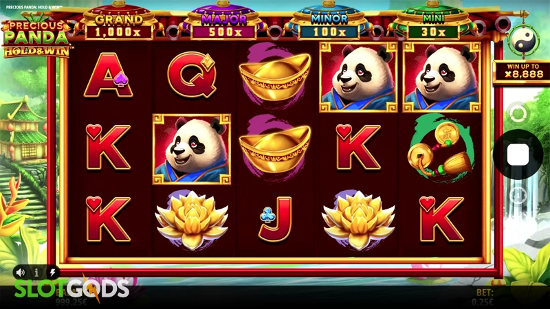 Precious Panda: Hold & Win Slot - Screenshot 