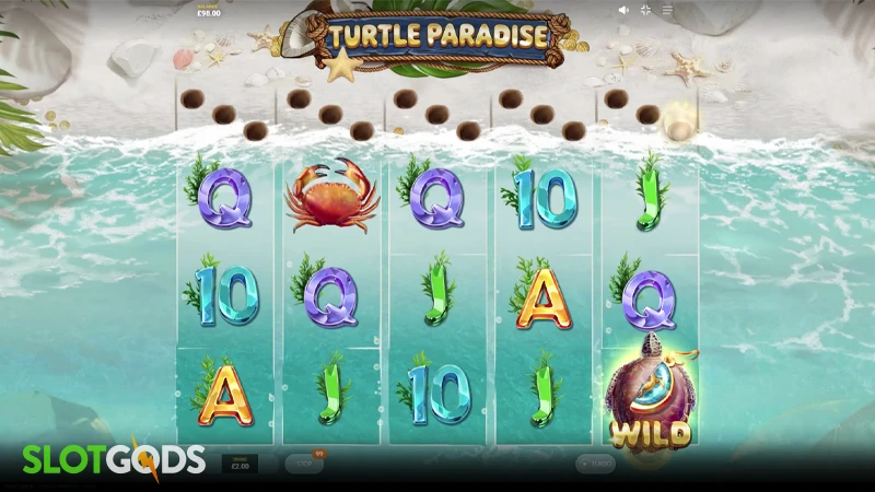 Turtle Paradise Slot - Screenshot 