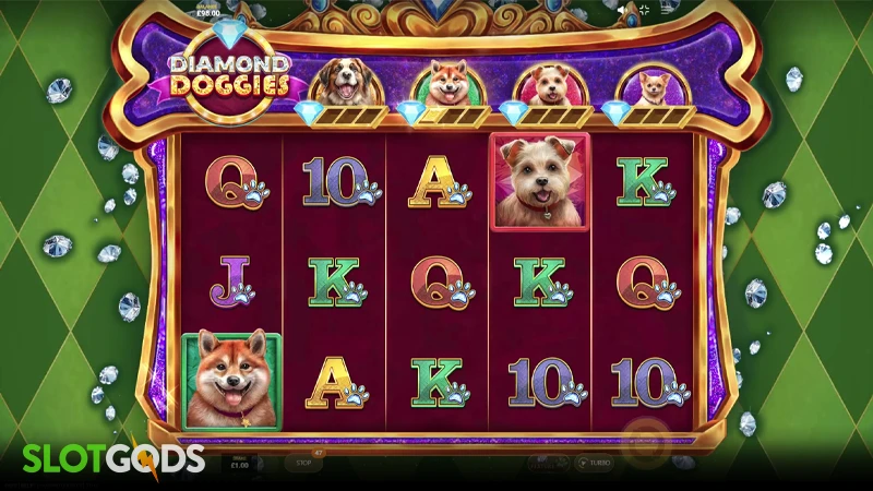 Diamond Doggies Slot - Screenshot 